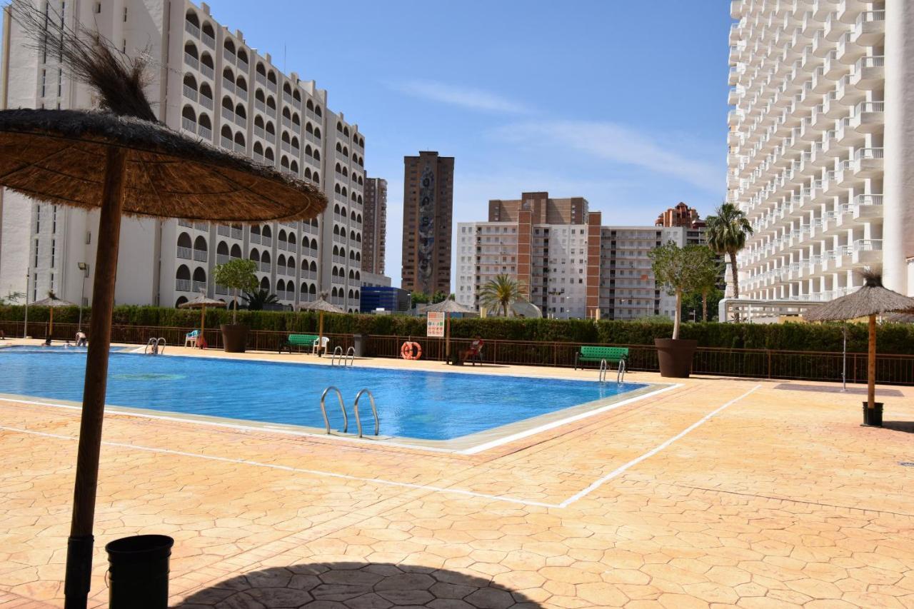 Acuarium 3 - Fincas Arena Benidorm Eksteriør billede