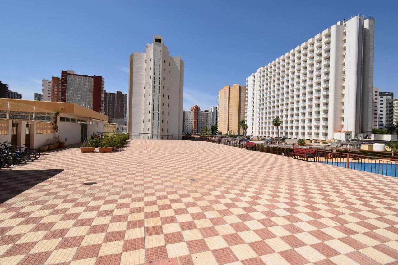 Acuarium 3 - Fincas Arena Benidorm Eksteriør billede