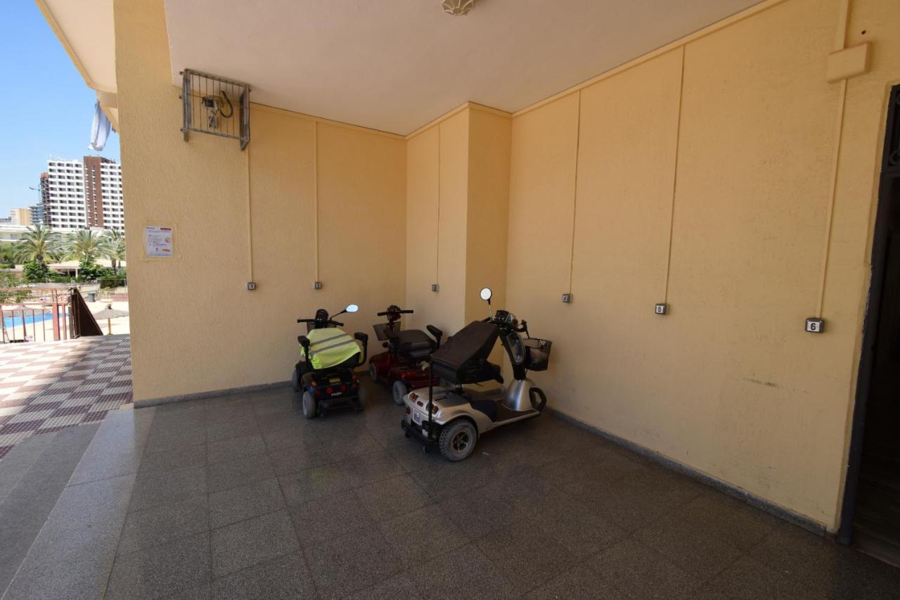Acuarium 3 - Fincas Arena Benidorm Eksteriør billede